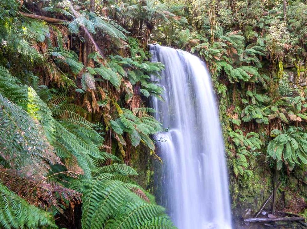 texomahamarama | Beauchamp Falls: Scenic Waterfall in the Otways