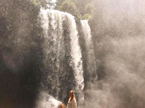 Hopetoun Falls: Spectacular Waterfall Near Beech Forest