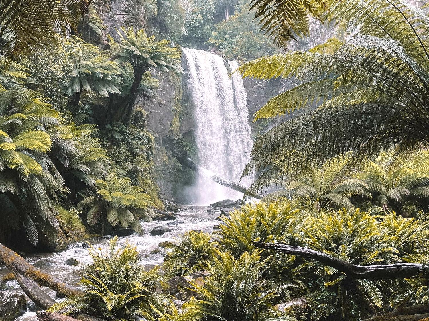 texomahamarama | Hopetoun Falls: Spectacular Waterfall Near Beech Forest