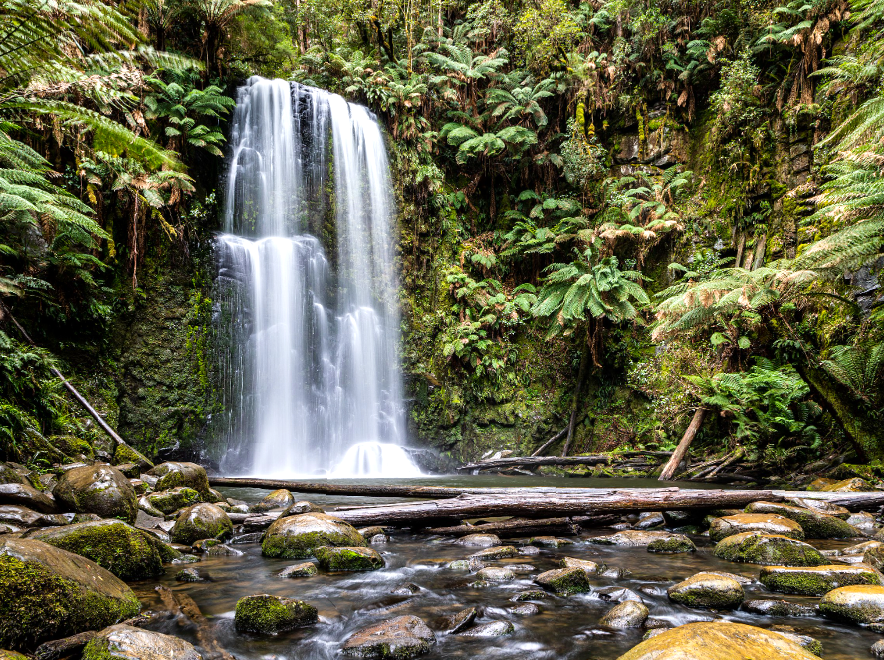 texomahamarama | Beauchamp Falls: Scenic Waterfall in the Otways